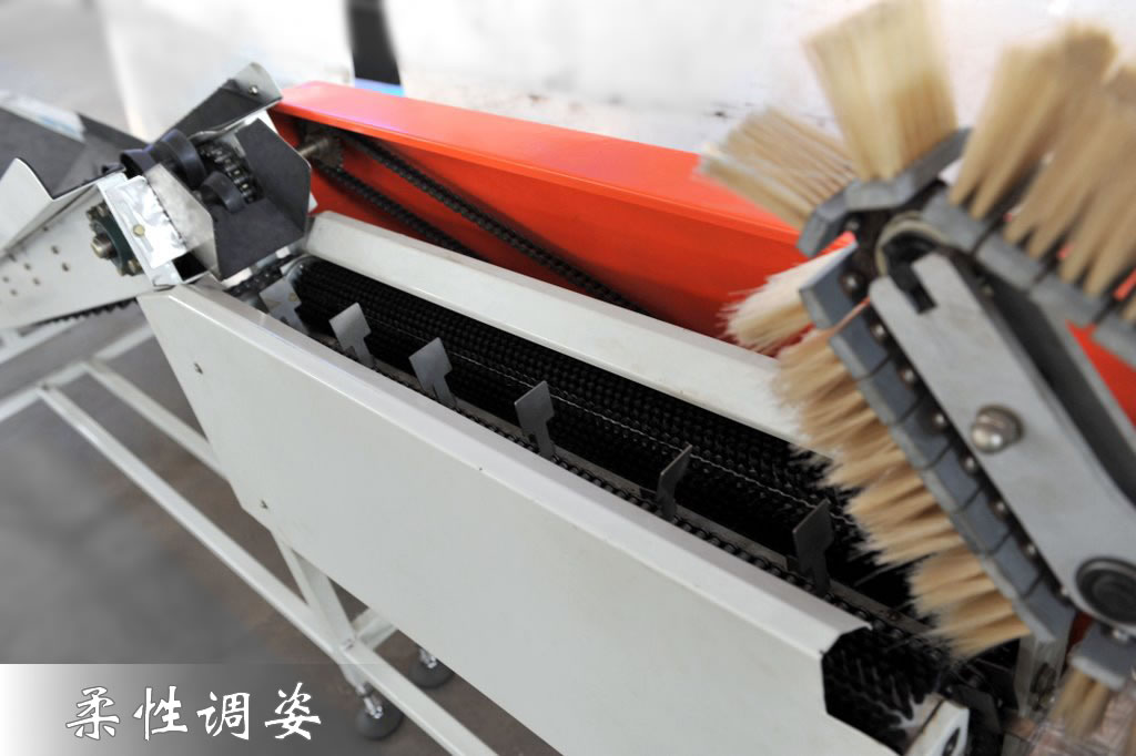 恒新牌XFZB-1型果蔬自动包装机